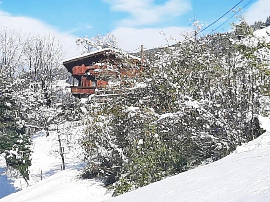 Mountain Chalet Leilighet Mayrhofen Eksteriør bilde